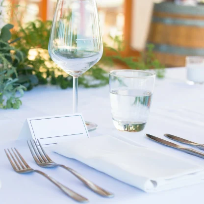 Shiny Sleek White Table Cloth - Image 2